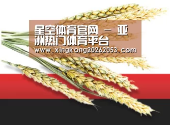 星空体育官网 - 亚洲热门体育平台