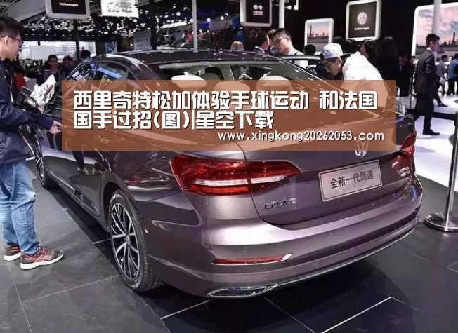 西里奇特松加体验手球运动 和法国国手过招(图)|星空下载(图2) 星空赛事