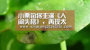 小栗旬将主演《人间失格》,再现太宰治经典托腮姿势‘星空下载’(图4) 星空下载