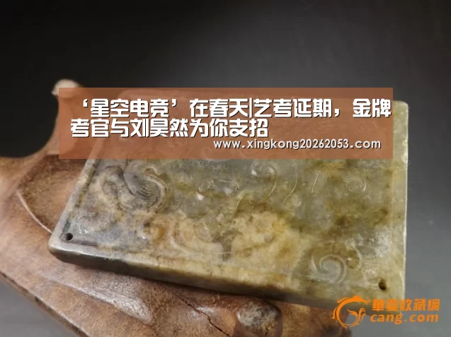 ‘星空电竞’在春天|艺考延期,金牌考官与刘昊然为你支招(图3) 星空赛事