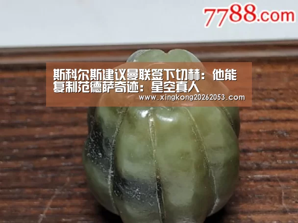 斯科尔斯建议曼联签下切赫:他能复制范德萨奇迹:星空真人(图1) 星空赛事